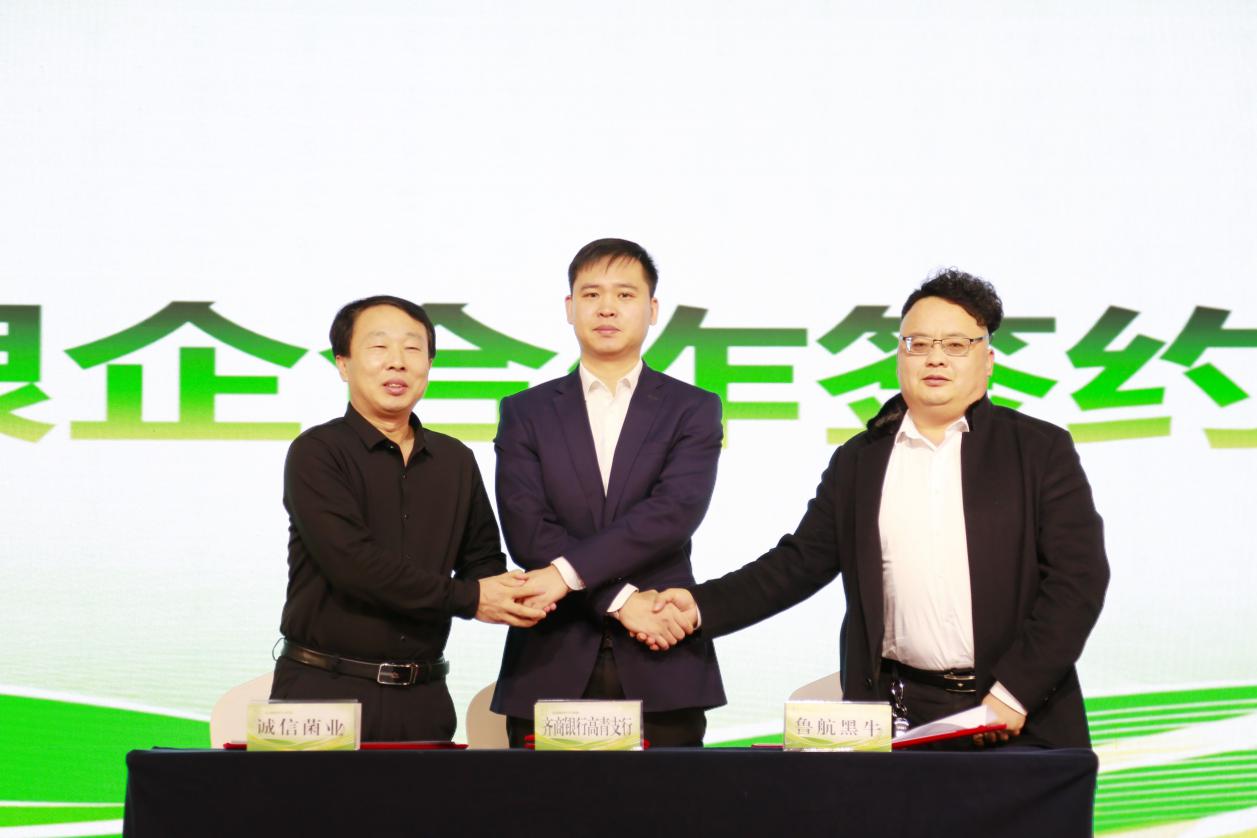 图片5.jpg 图片5.jpg