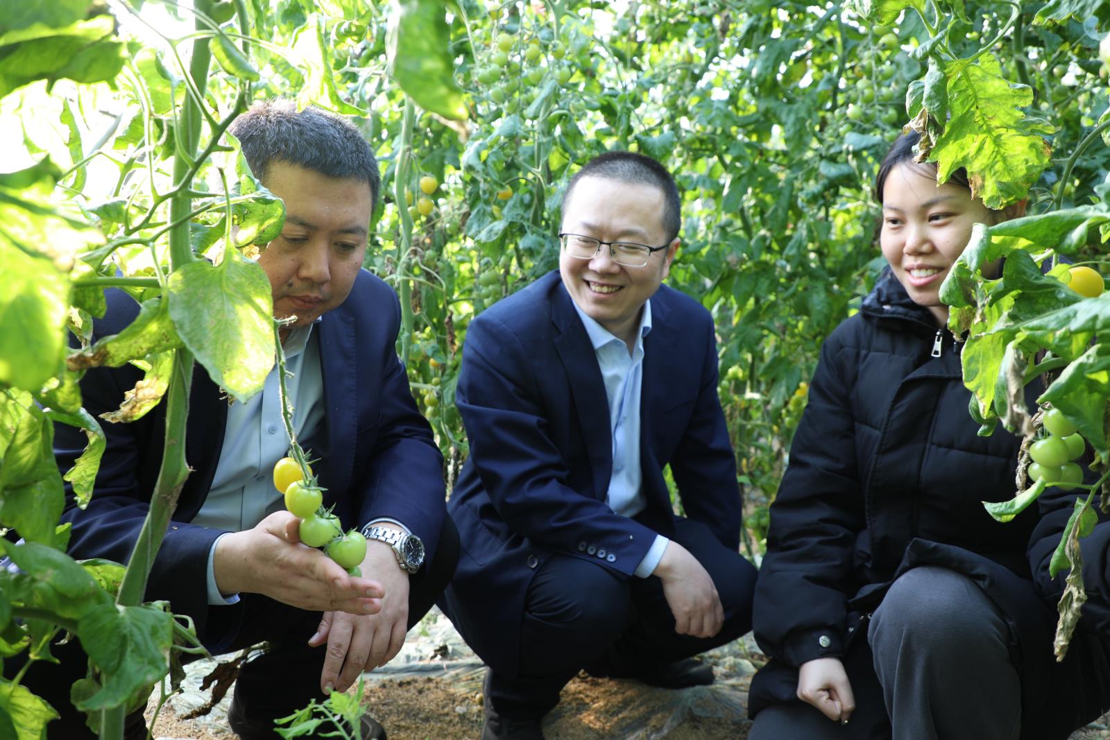 桓台农商银行客户经理在鸿基农业大棚种植园 考察.JPG