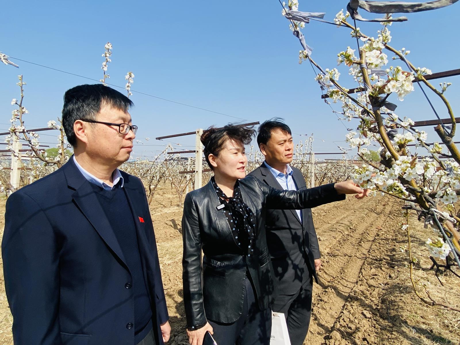 微信图片_20250414155446.jpg 微信图片_20250414155446.jpg