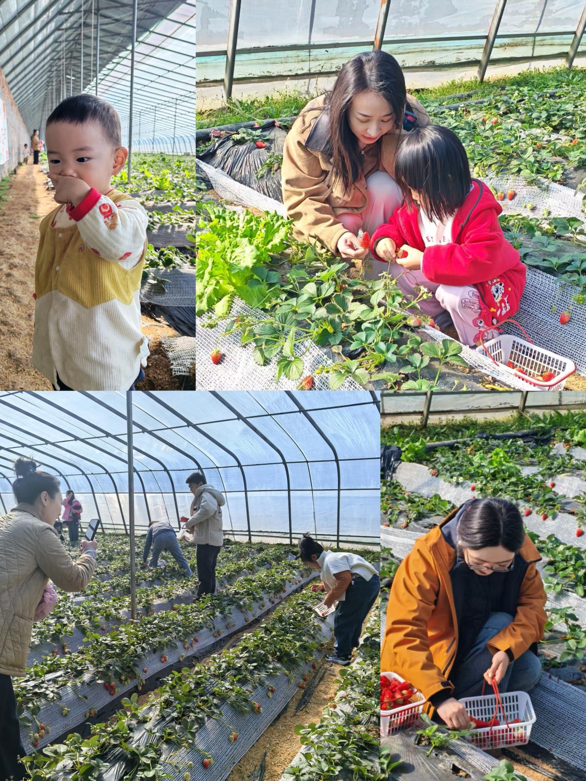 活动照片2.jpg 活动照片2.jpg